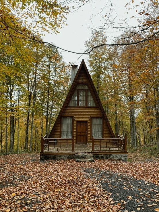 a wooden cabin sits in the middle of leaves