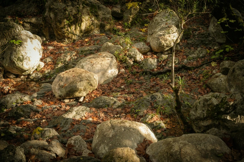 a group of large rocks sitting on the ground