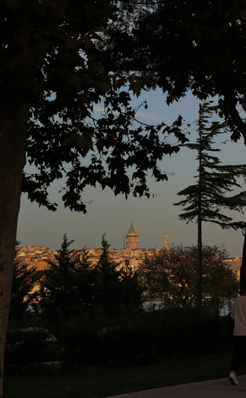 the cityscape of a town can be seen in the distance from between trees