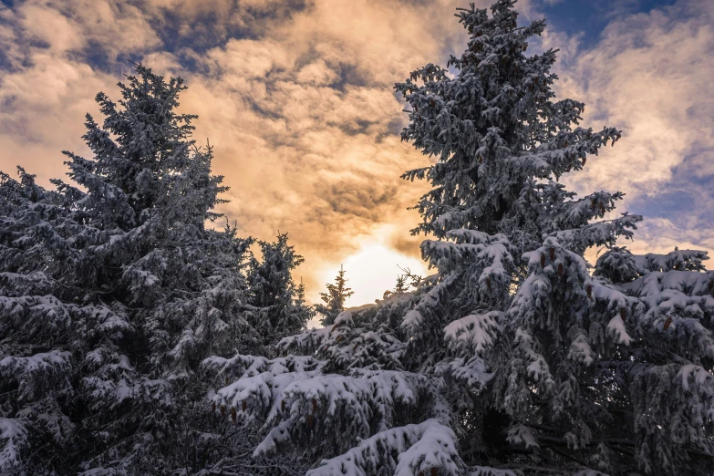 the sun is shining through the clouds over the trees