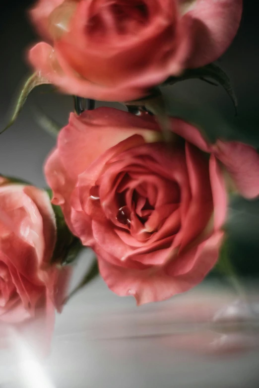 a bouquet of pink roses on a table