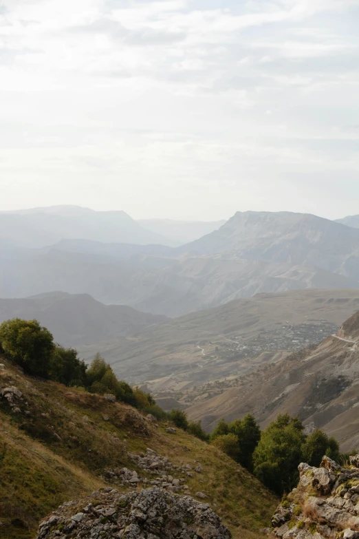 a mountain with lots of trees and some hills