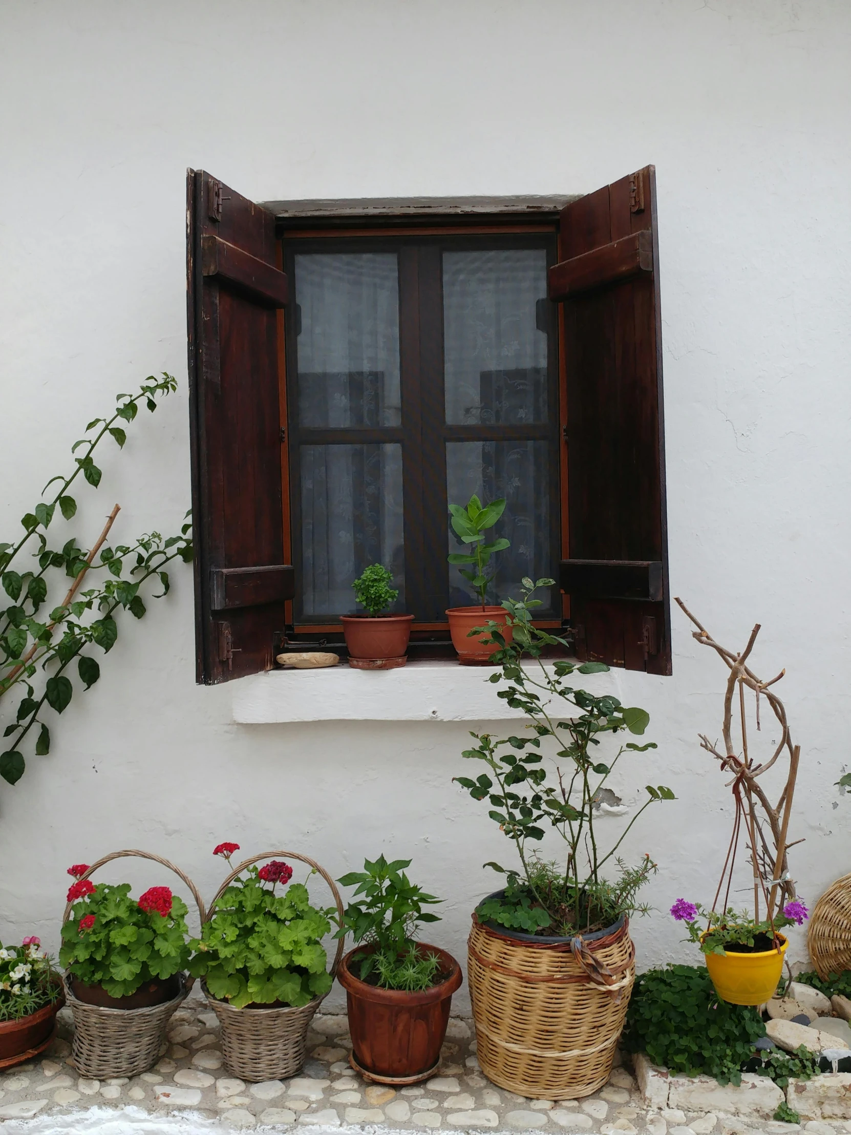 the plants are planted on the ledge by the window