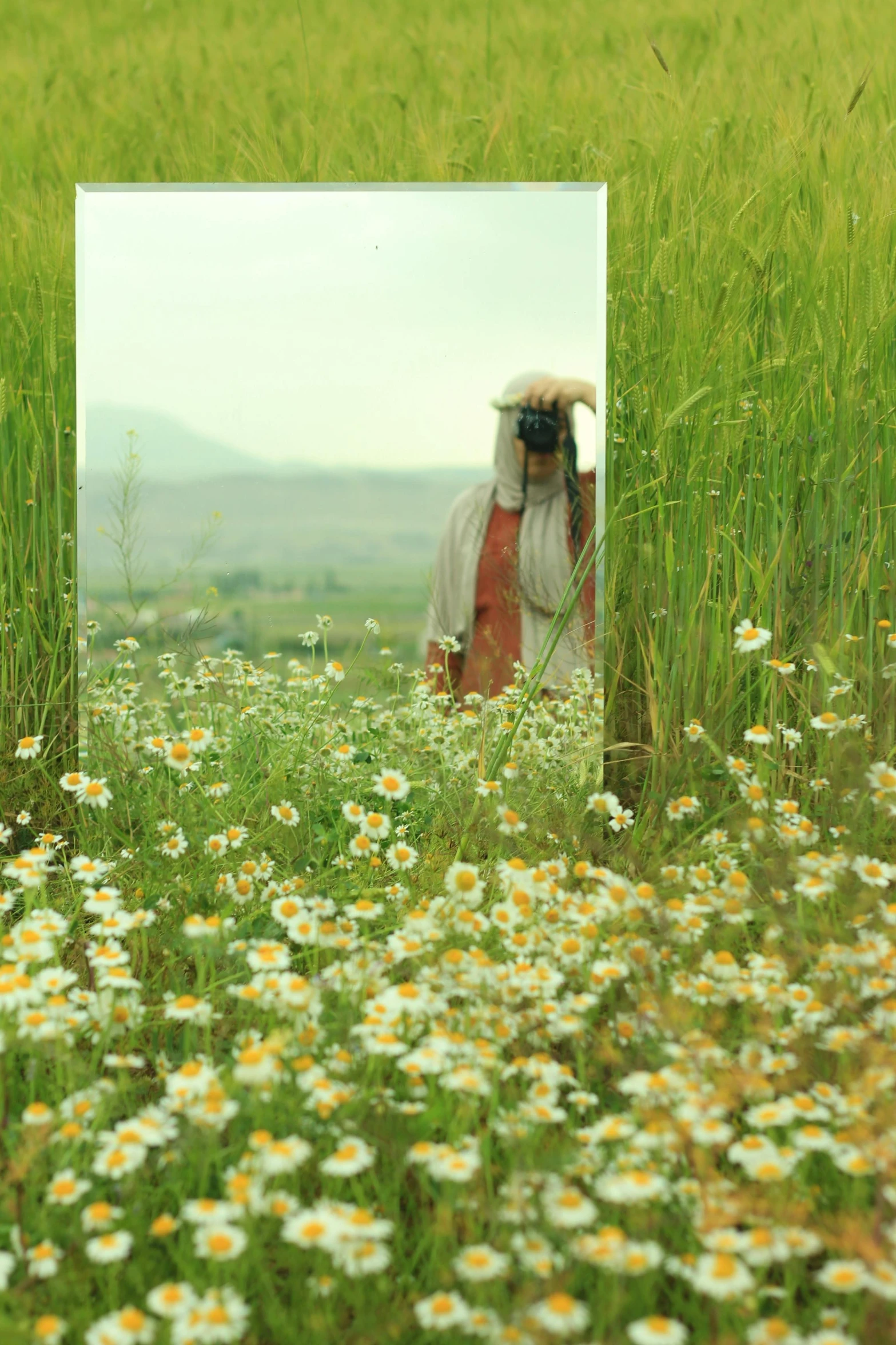 a po with a flower field and a person taking a po