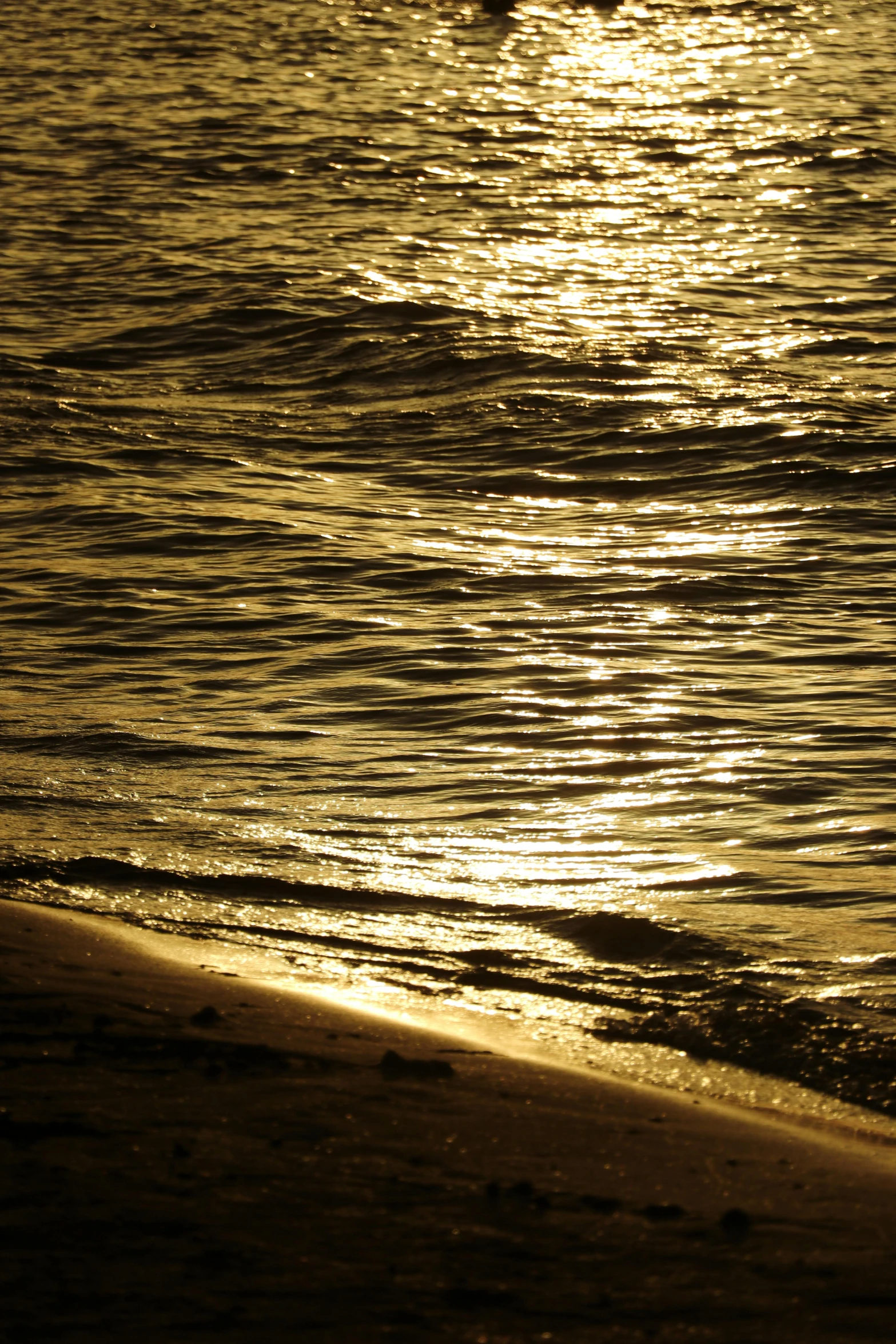 the person is walking on the shore line with a surfboard