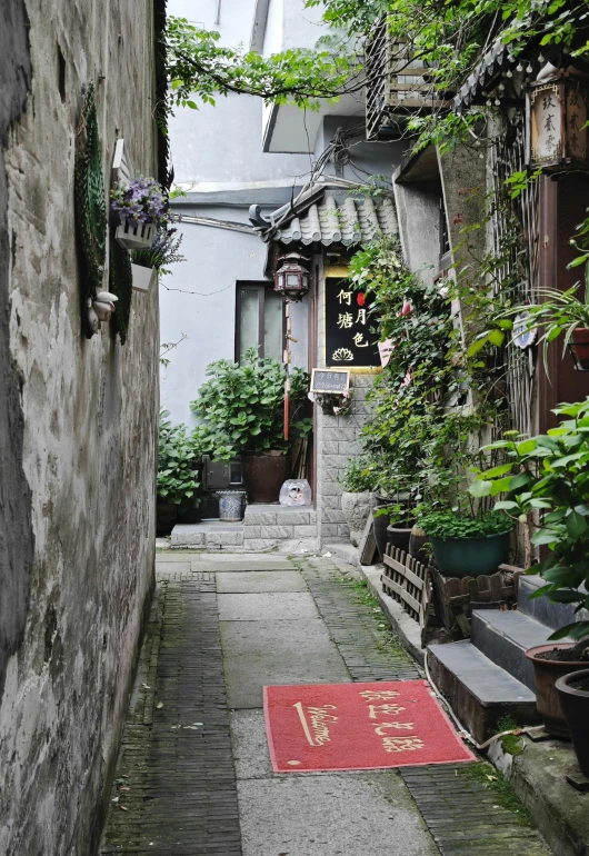 a street that has a red rug on the side