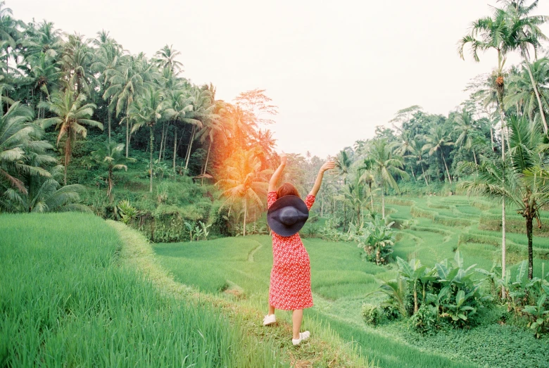 a person wearing a dress is walking through a field