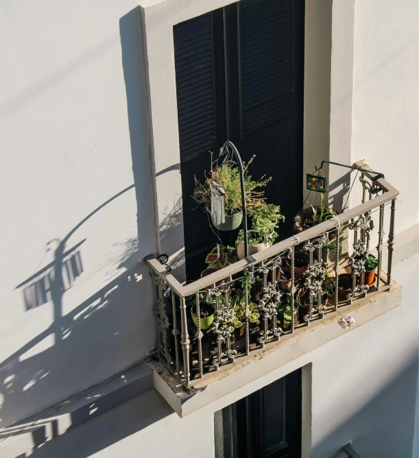 plants grow out of the balcony windows on the building