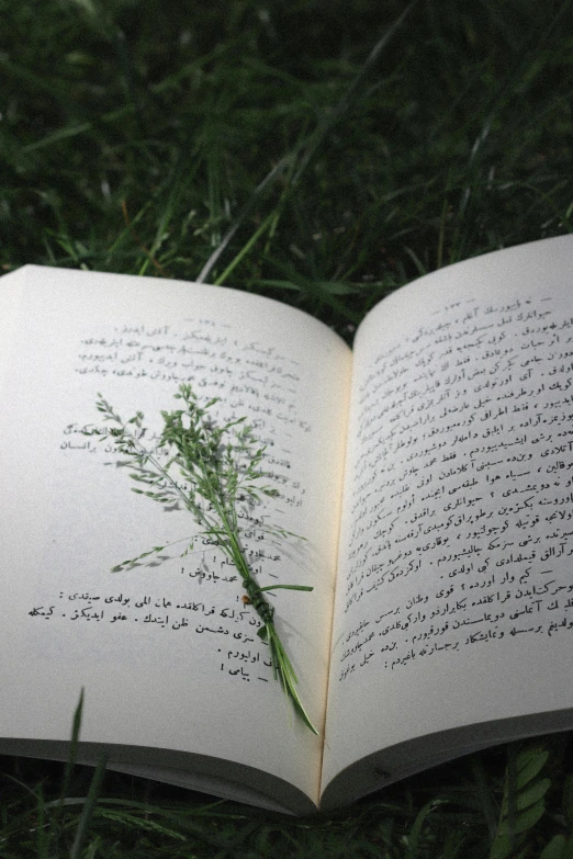 an open book with some flowers sticking out of it