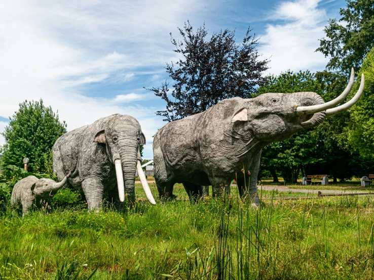 two giant gray elephants standing next to each other