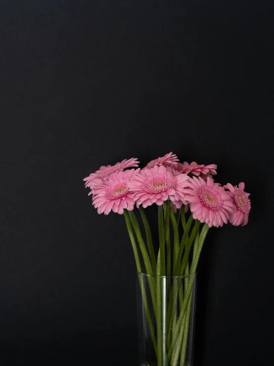 some pink flowers sit in a glass vase