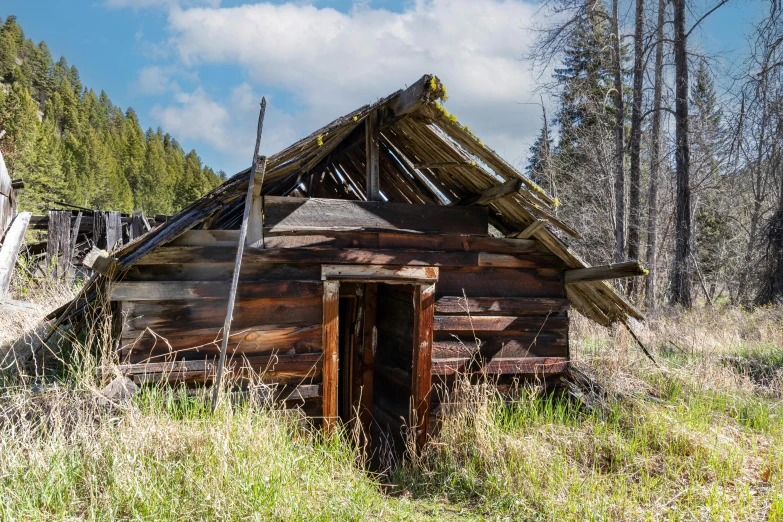 a house with a roof made out of wood