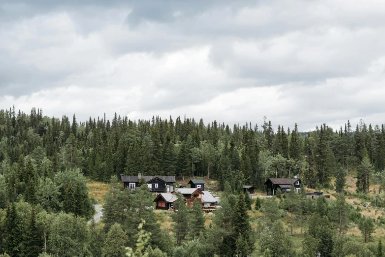 a view of a forest with a cabin in it