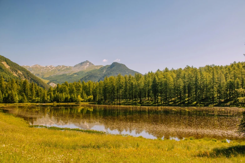 the landscape shows tall trees, green grass, a lake and mountains