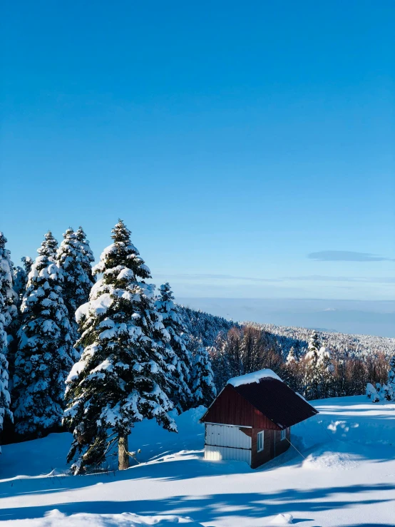 a snow covered field has a barn on it