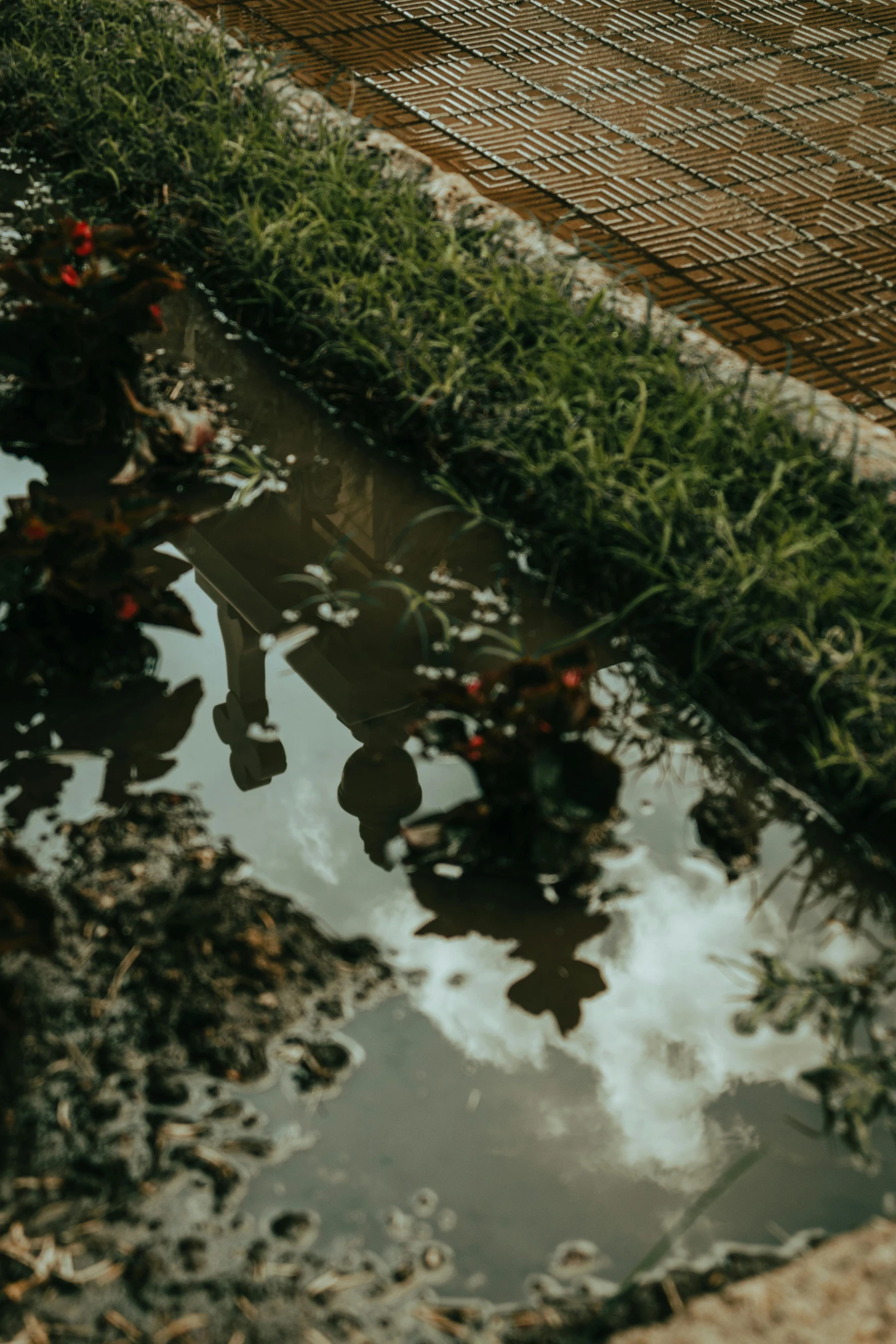 there is a reflection of trees and clouds in the water