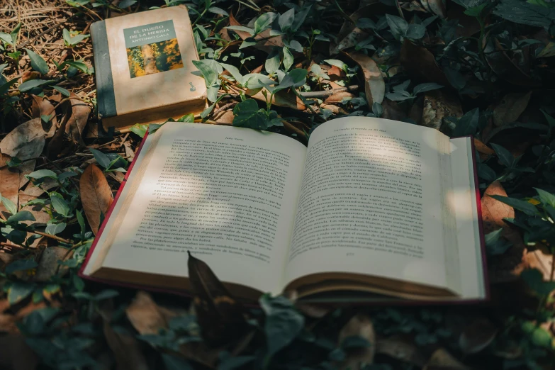 an open book with chinese characters on it sitting on the ground next to a box and some leaves