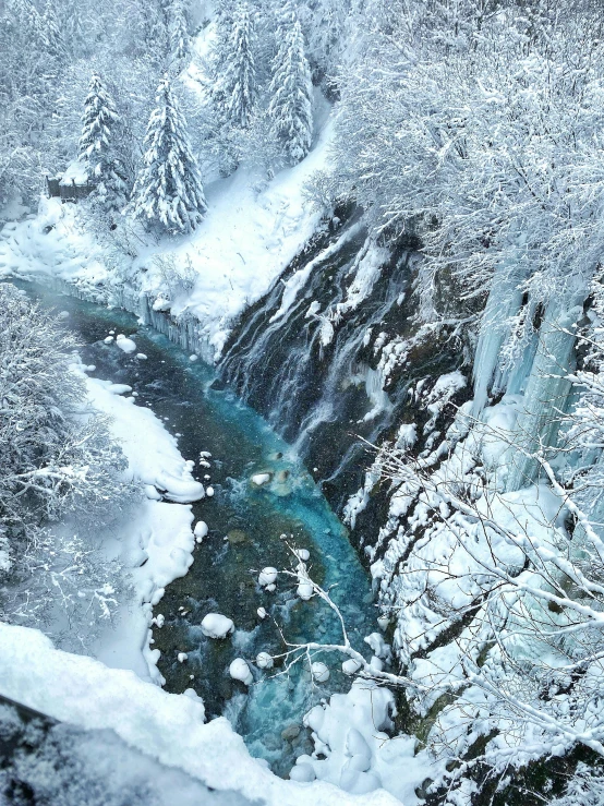 a bird is flying over snow - covered mountains