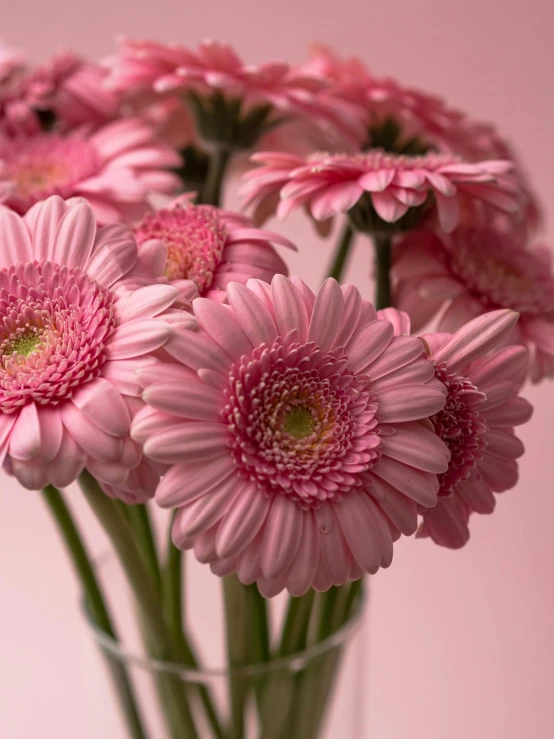 flowers are in a clear vase on the pink surface