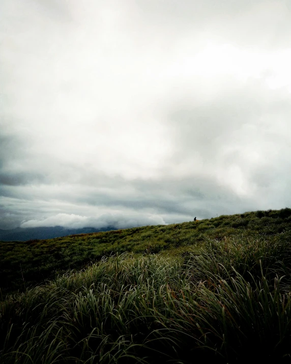 a person is walking on a grassy hill