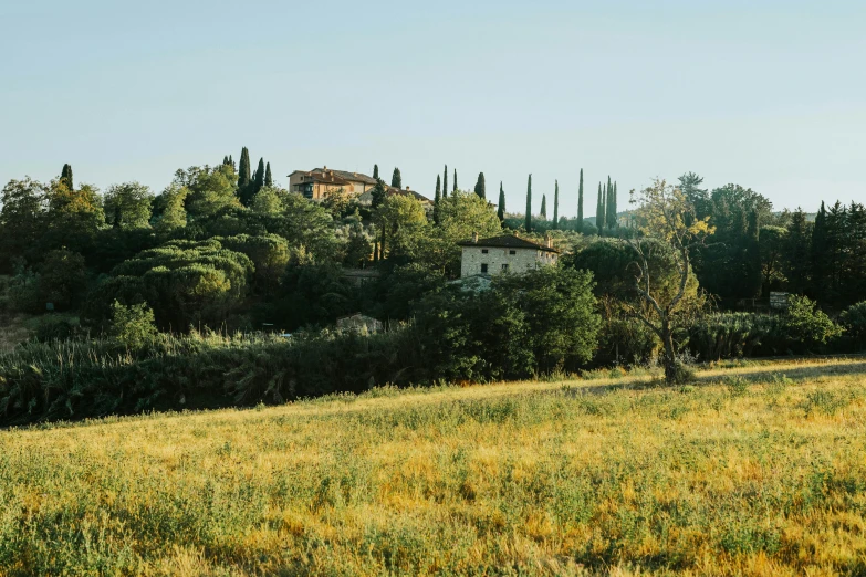 an old house on the side of a hill covered in trees