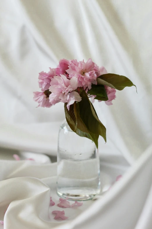 a vase filled with water with pink flowers