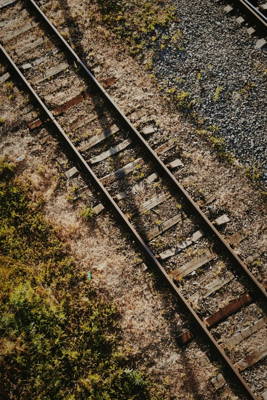 an aerial s shows the railroad tracks in between some trees