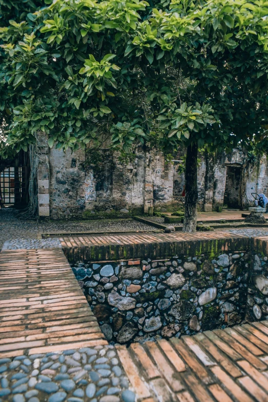 there is a wall made of rocks and trees