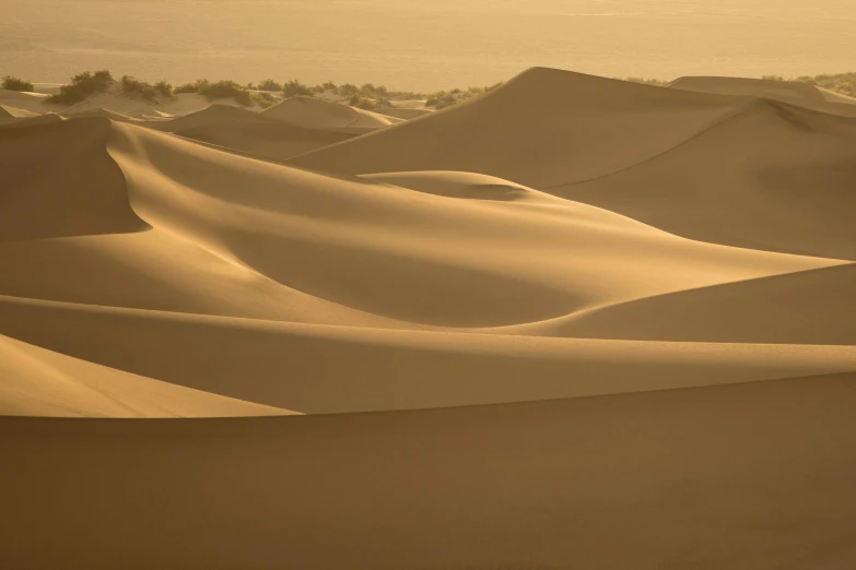 a view of a beach filled with sand dunes