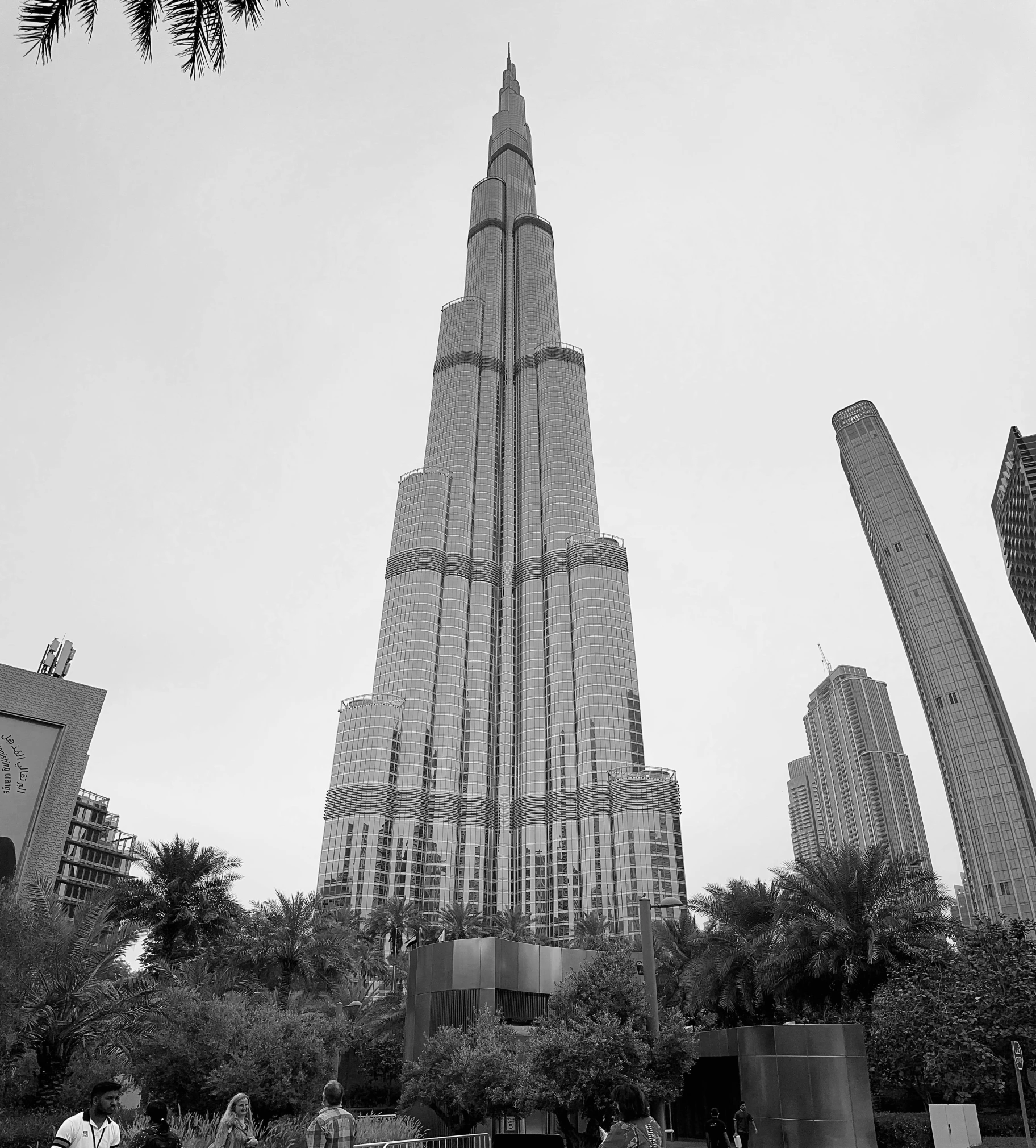 a large, tall building with lots of tall trees in front