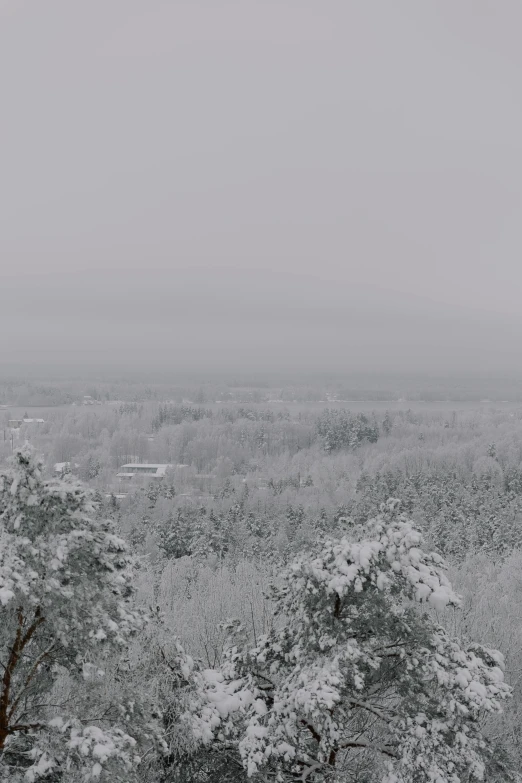 a black and white po of a city on a foggy day