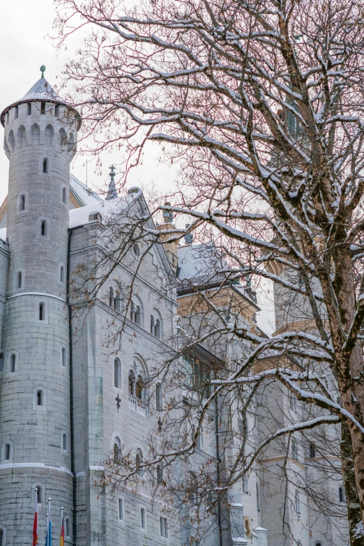 a castle sits under a tree in the midst of snow