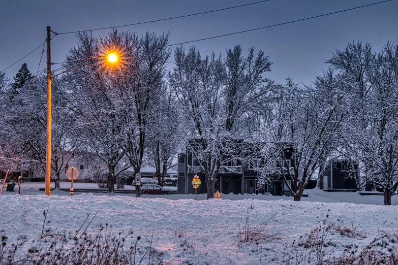 a street light is standing in the middle of some snowy fields