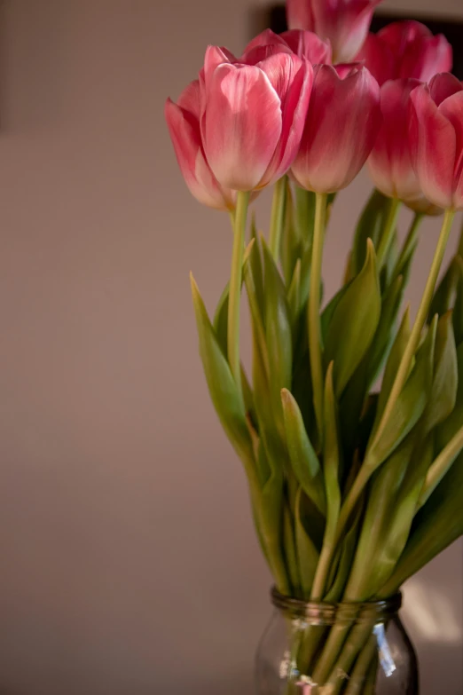 the pink flowers are in a glass vase