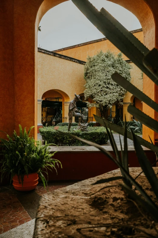 there is an archway in the building with plants