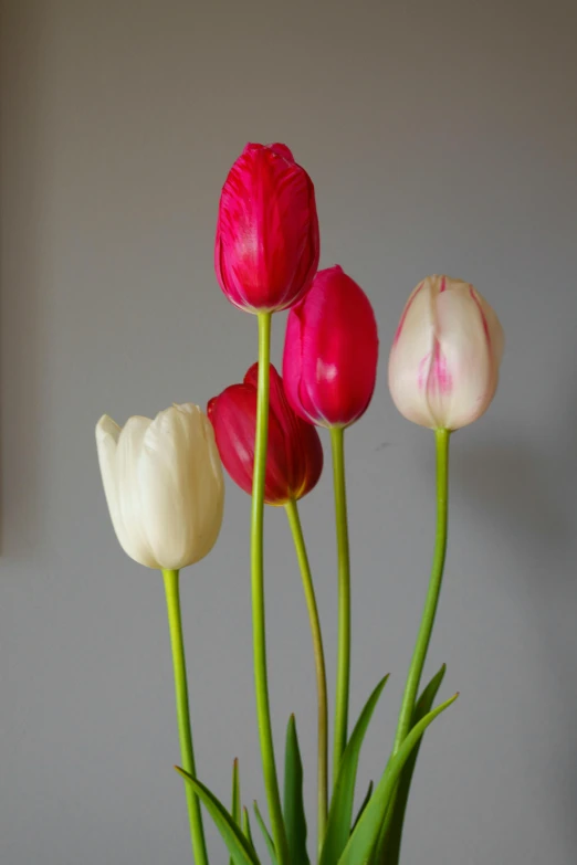 a green pot with pink, red and white flowers