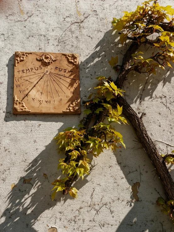 a sign on the side of a white building that reads, sundial