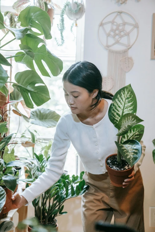 a woman carrying a potted plant with long thin leaves