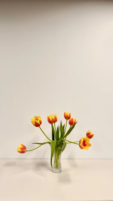 an image of orange flowers with stems in vase
