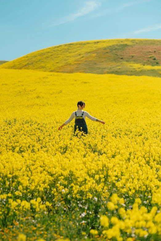 the woman is walking in the yellow flowery field