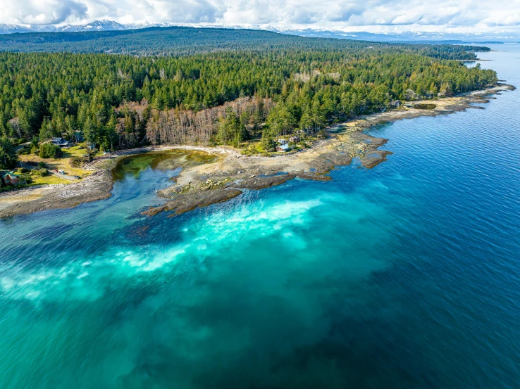 an aerial view of a beautiful beach that is bordered by some trees