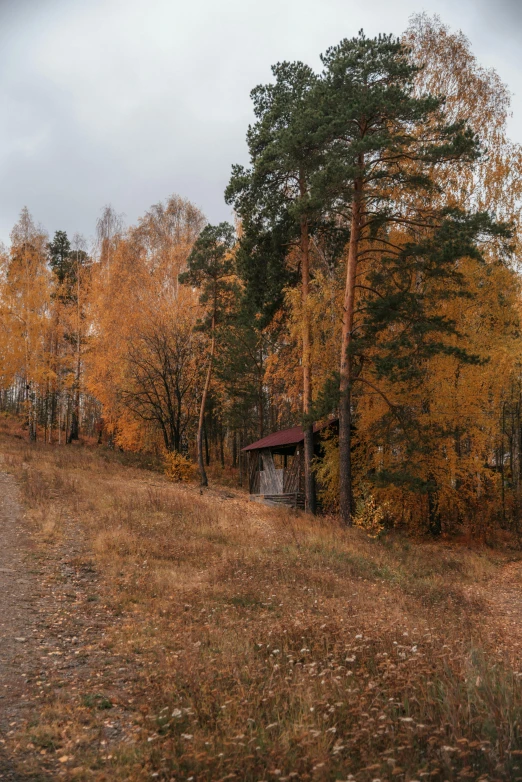 this is a pograph of the woods and a barn