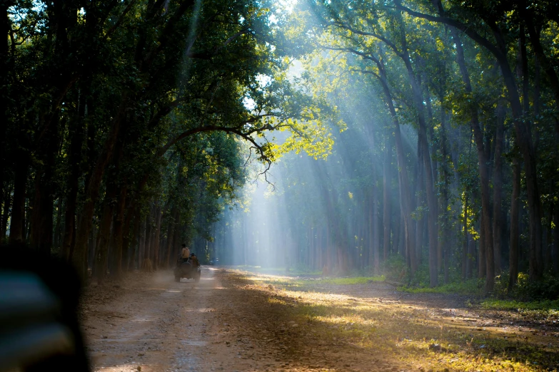 an open road with trees and light shining down on the road