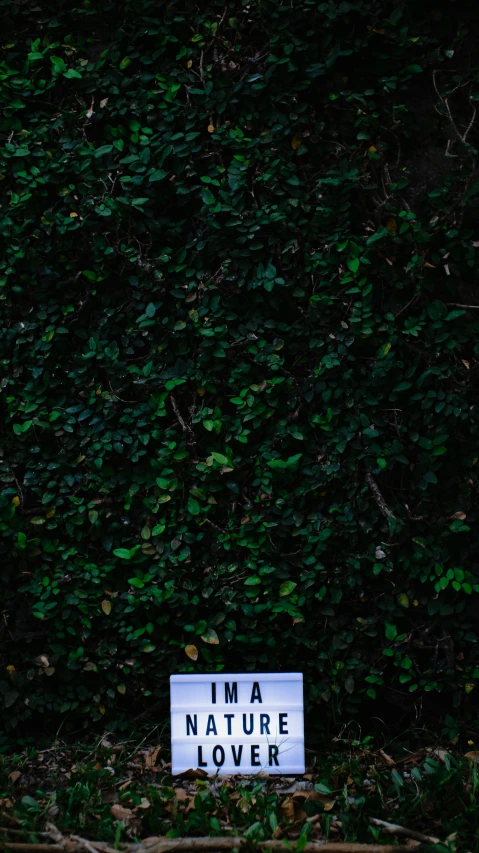 a sign sitting on the ground next to a lush green bush