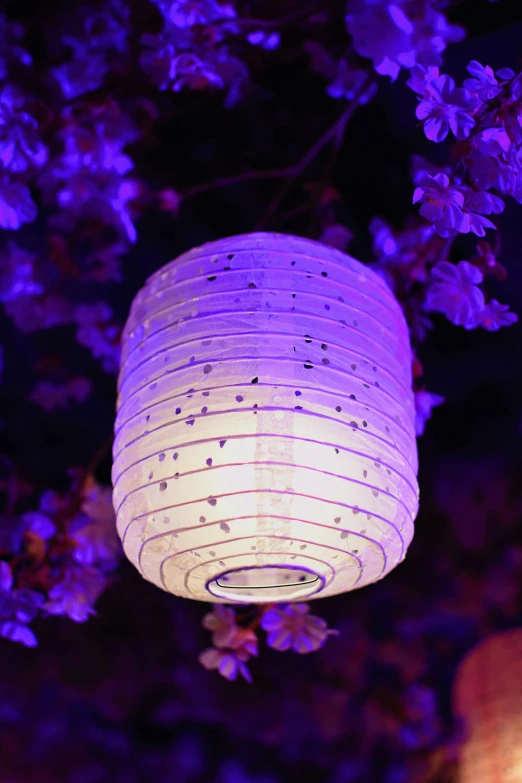 a lantern in a garden lit up by purple flowers