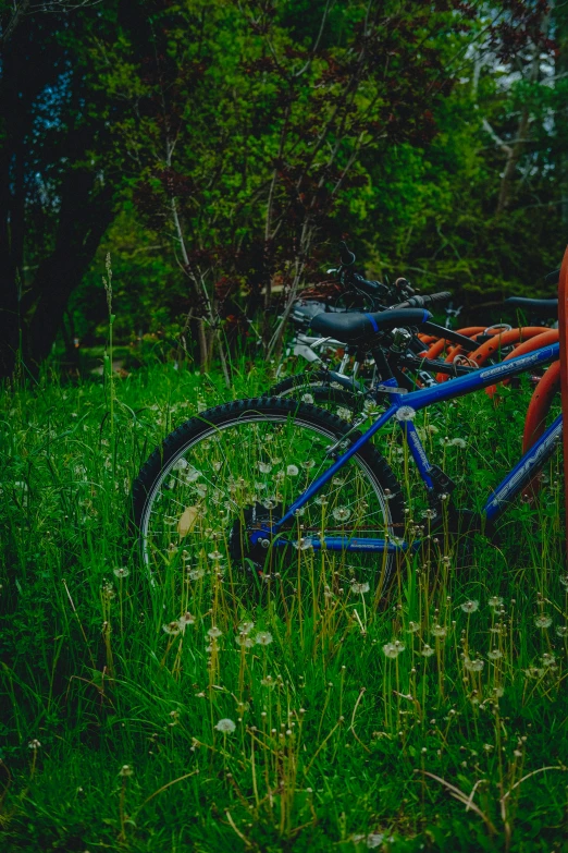 the back wheel of a bicycle parked in some weeds near a red fire hydrant