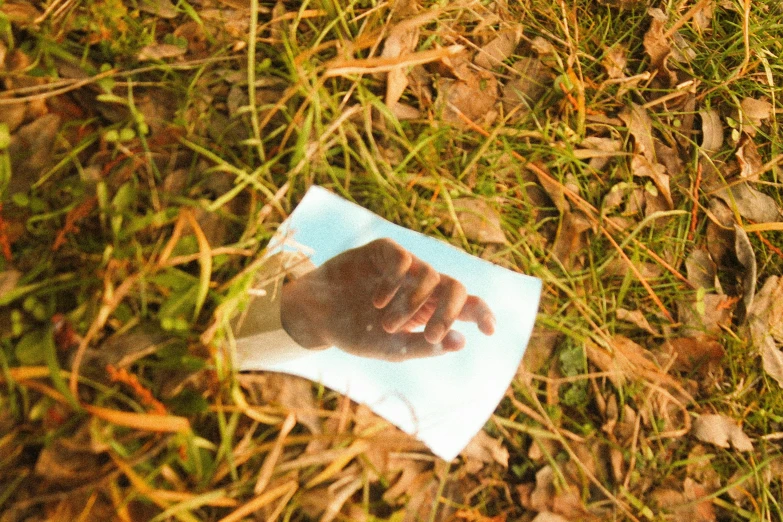 a paper towel with a small hand on it in a grassy field