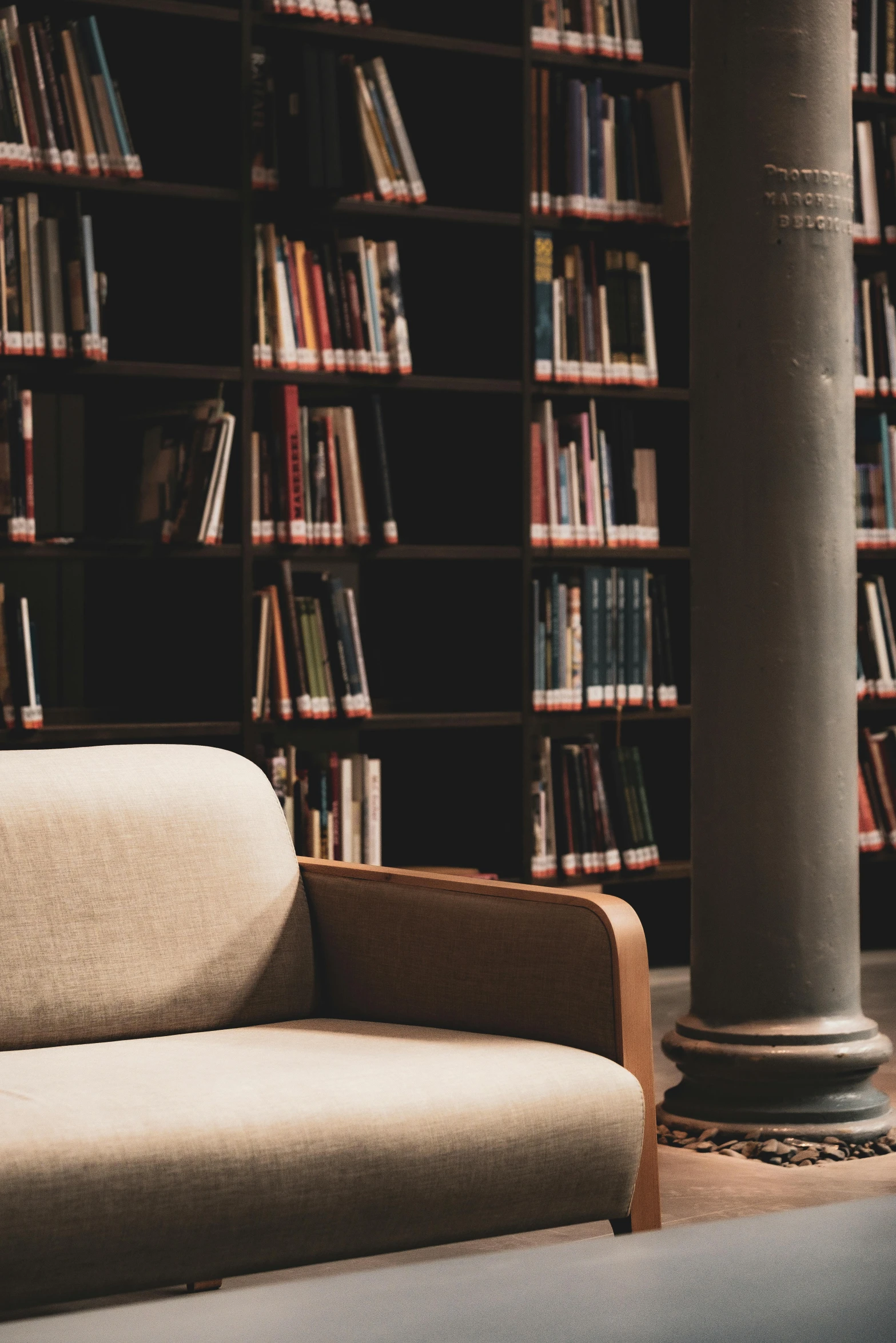 the bookshelves behind the couch have a lot of books on them