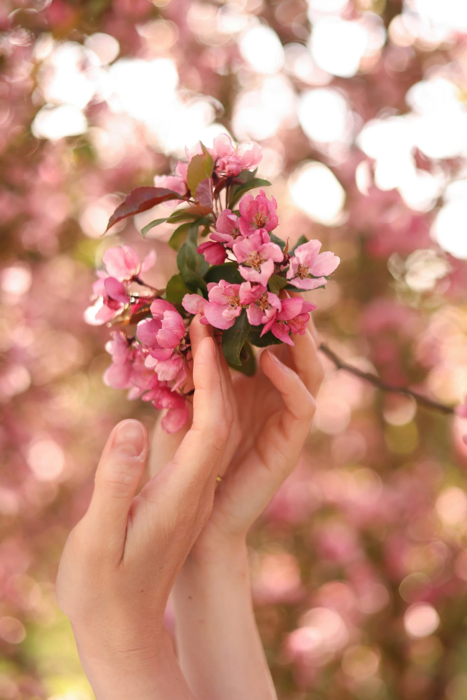 a person holding flowers in the air