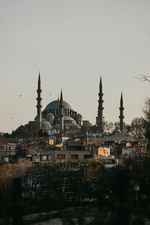 the view of a mosque near the city